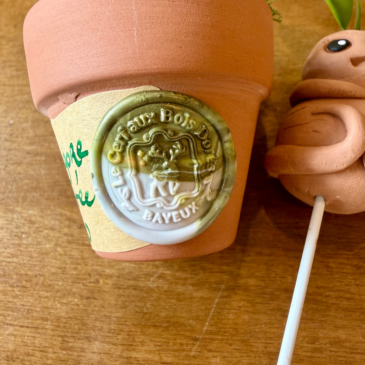 ARTISANAT Mandragore empotée n°150 - Pièce unique