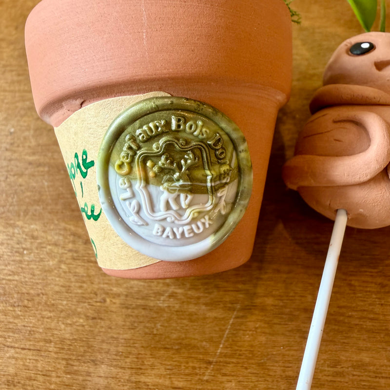 ARTISANAT Mandragore empotée n°150 - Pièce unique