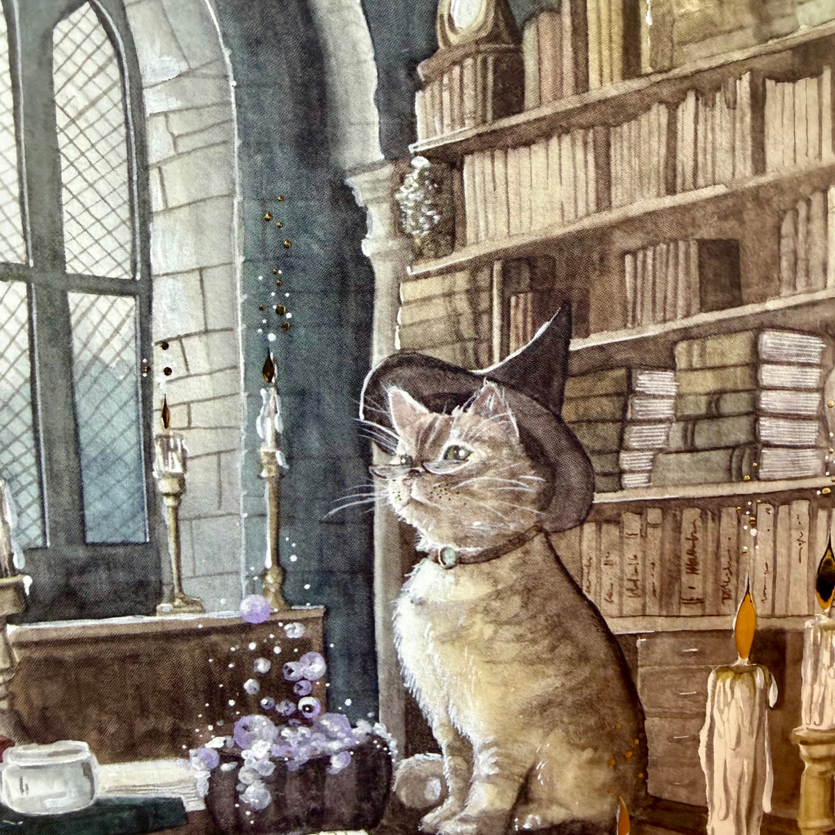 Illustration A5 La Professeure de Métamorphose - Chat sorcier