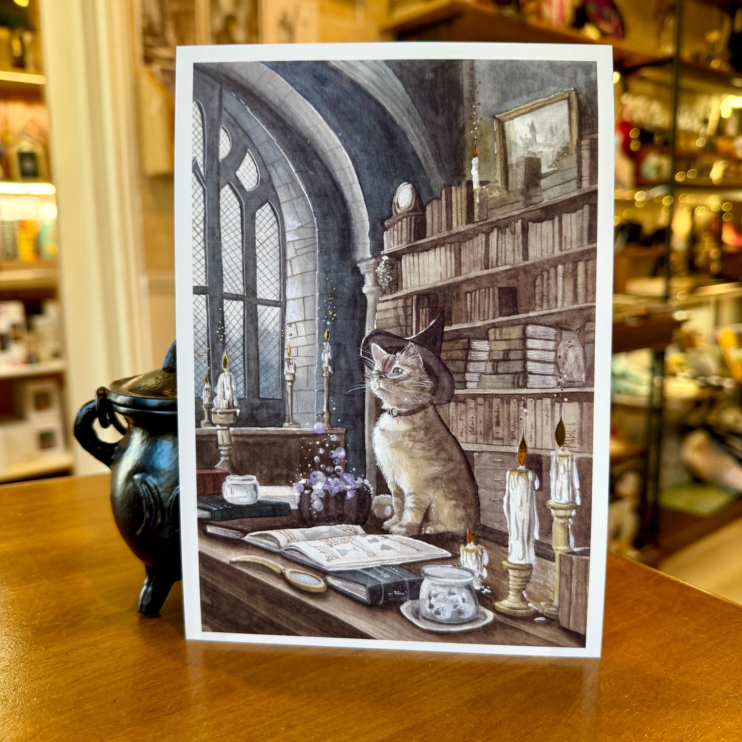 Illustration A5 La Professeure de Métamorphose - Chat sorcier