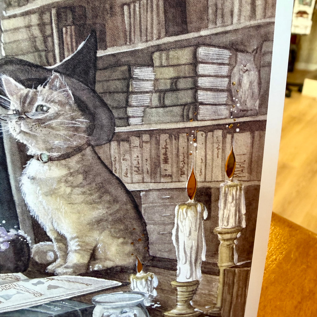 Illustration A5 La Professeure de Métamorphose - Chat sorcier