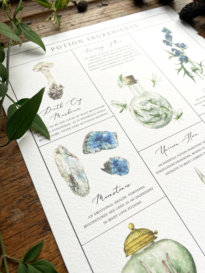 Illustration Ingrédients de Potions magiques – A4 ou A3