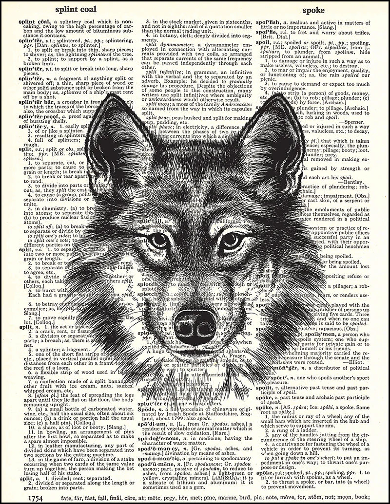 Affiche Vintage – Loup sur page de dictionnaire anglais