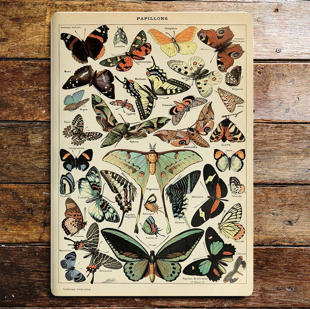 Plaque en métal Papillons