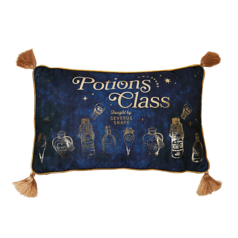 Coussin Harry Potter – Cours de Potions en velours