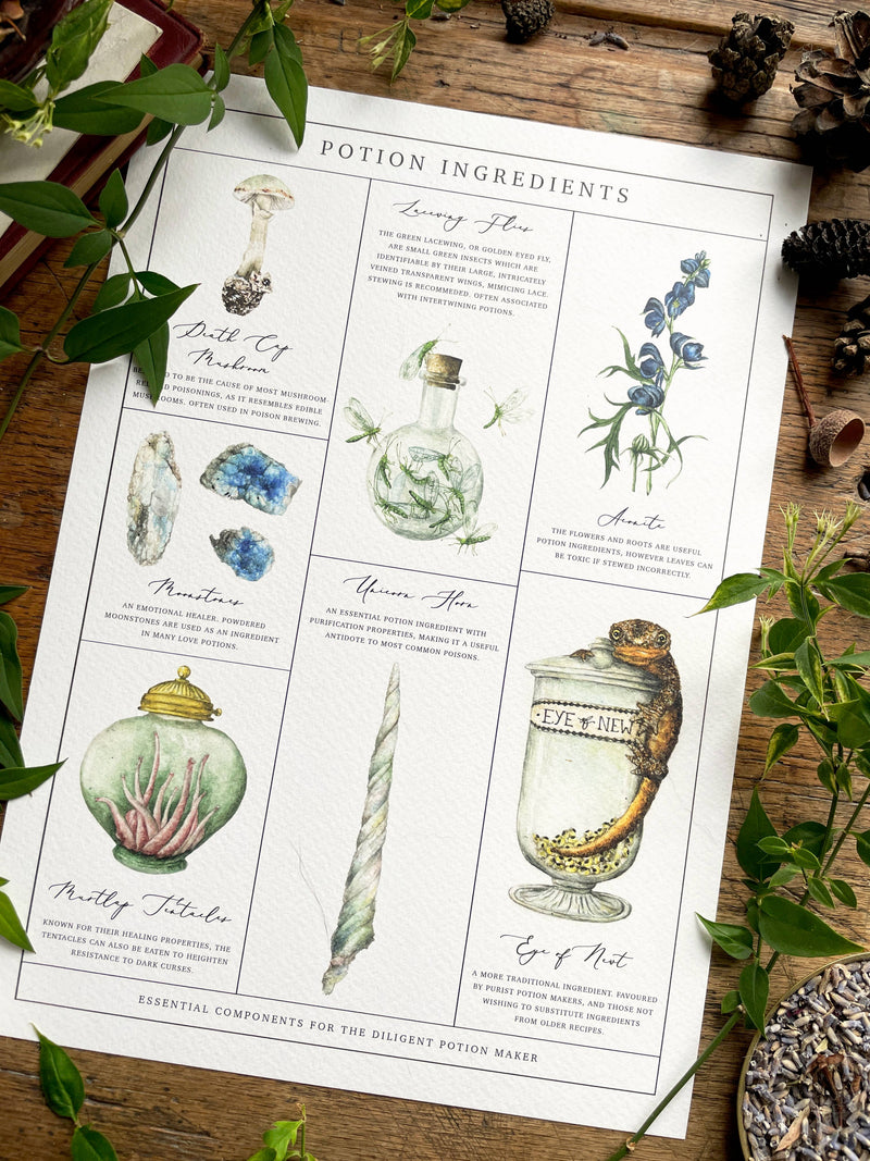 Illustration Ingrédients de Potions magiques – A4 ou A3