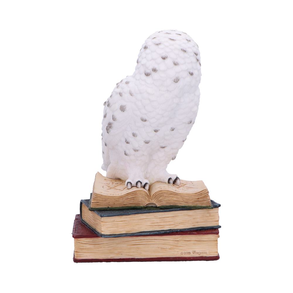 Chouette Harfang des Neiges sur ses livres