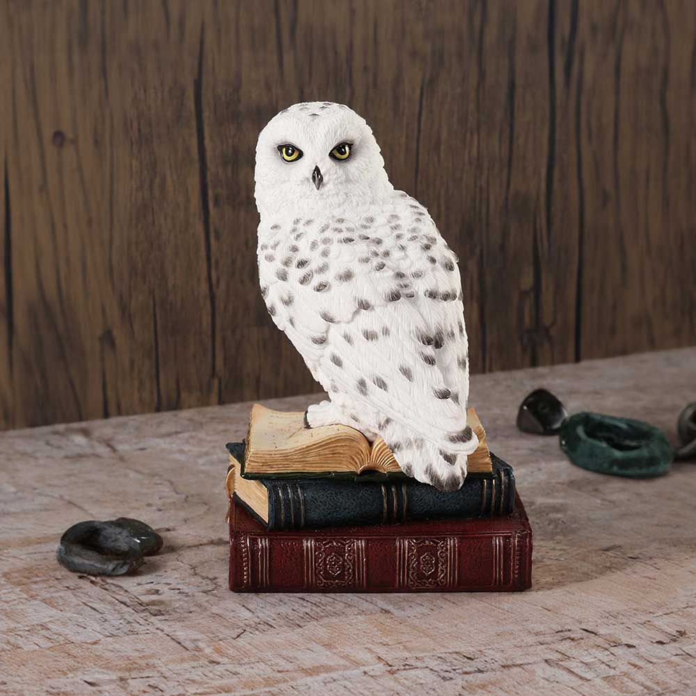 Chouette Harfang des Neiges sur ses livres