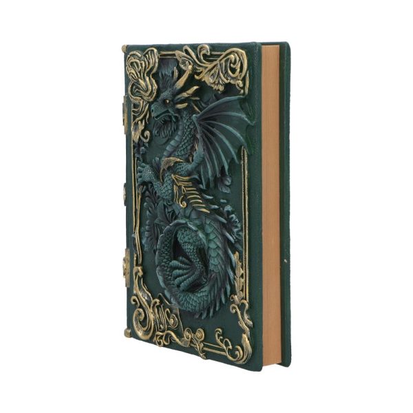 Carnet Grimoire Dragon Vert en Relief