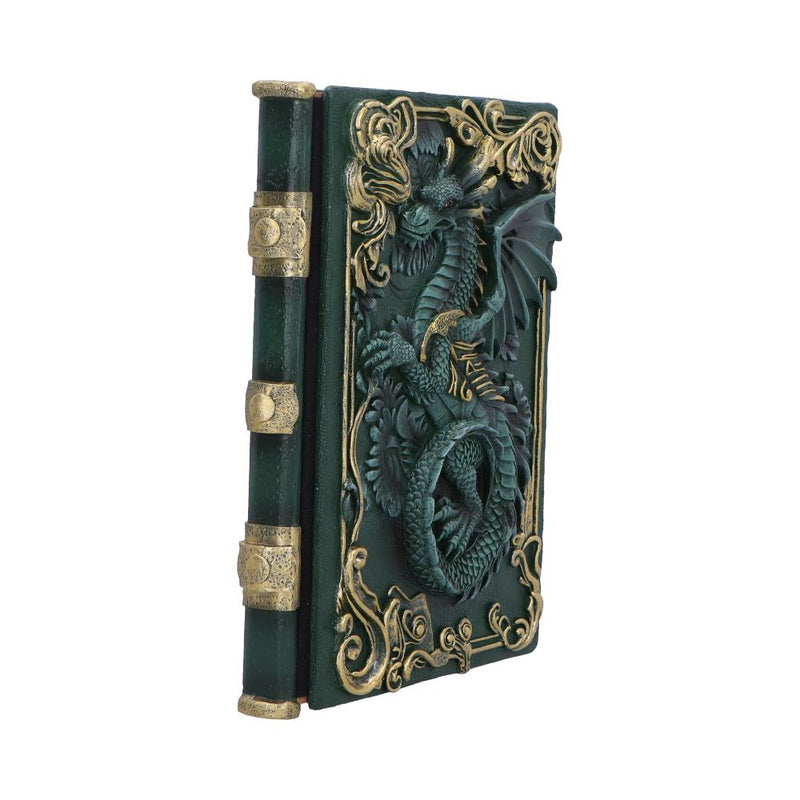 Carnet Grimoire Dragon Vert en Relief