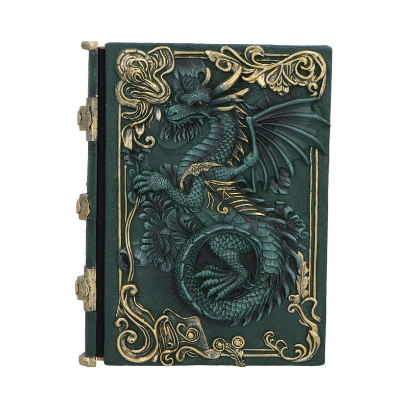Carnet Grimoire Dragon Vert en Relief