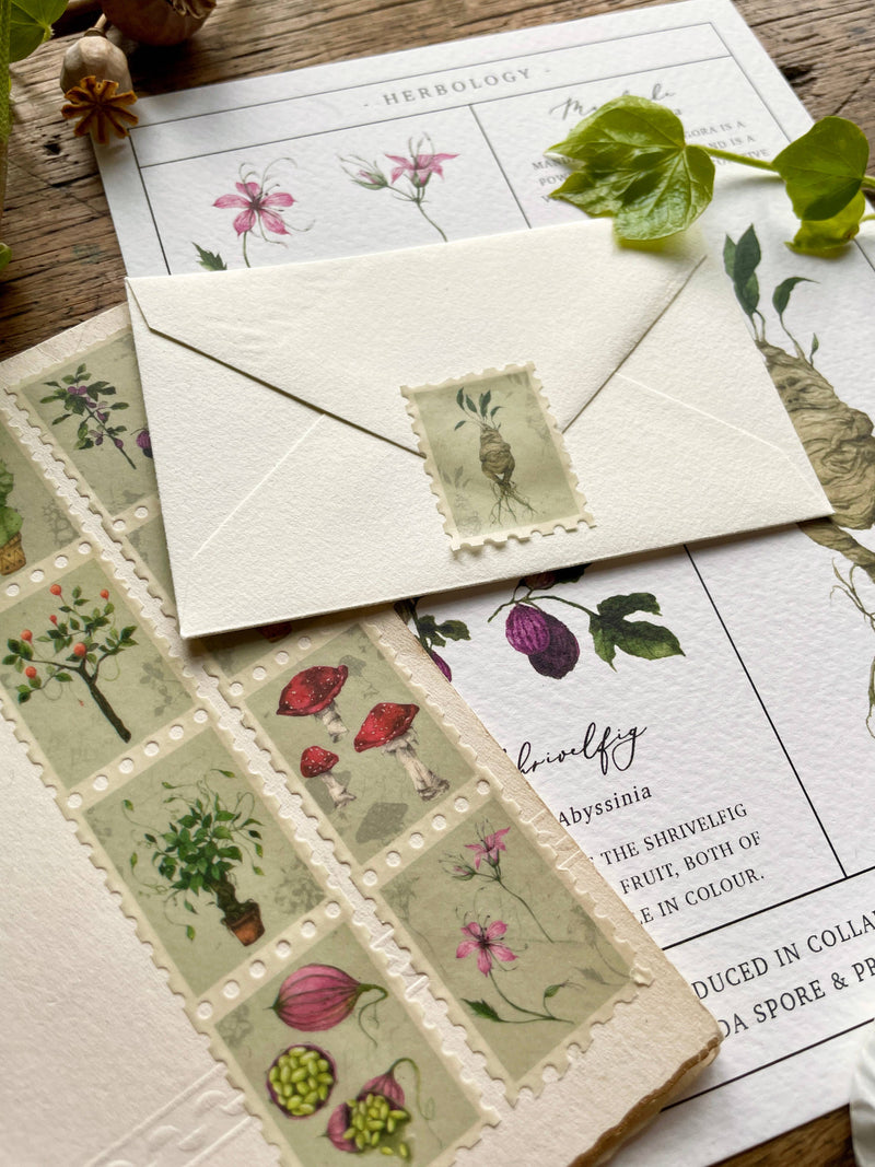 Ruban collant Washi herboristerie magique – Motifs vintage – 10 m x 25 mm