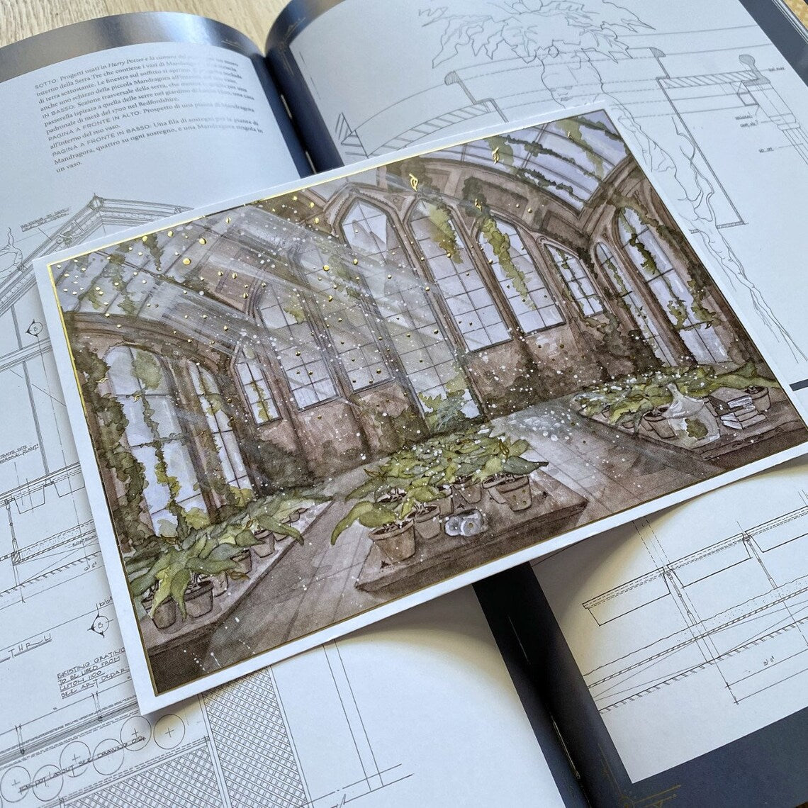 Illustration A5 La Serre aux Mandragores