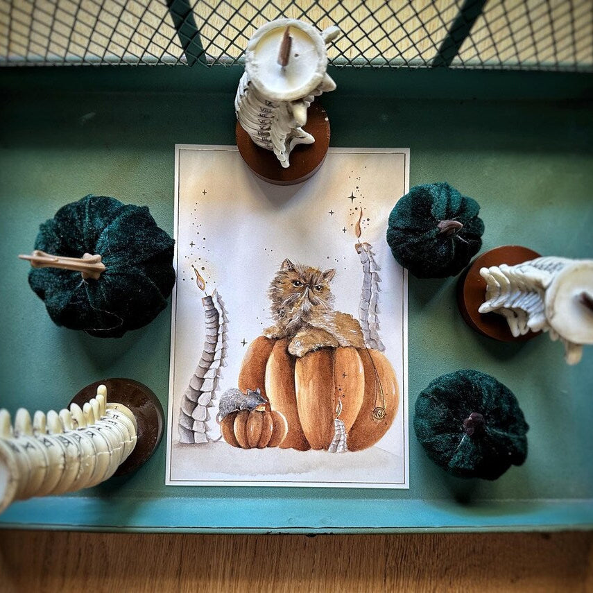 Illustration A5 chat, rat & citrouilles – Univers magique