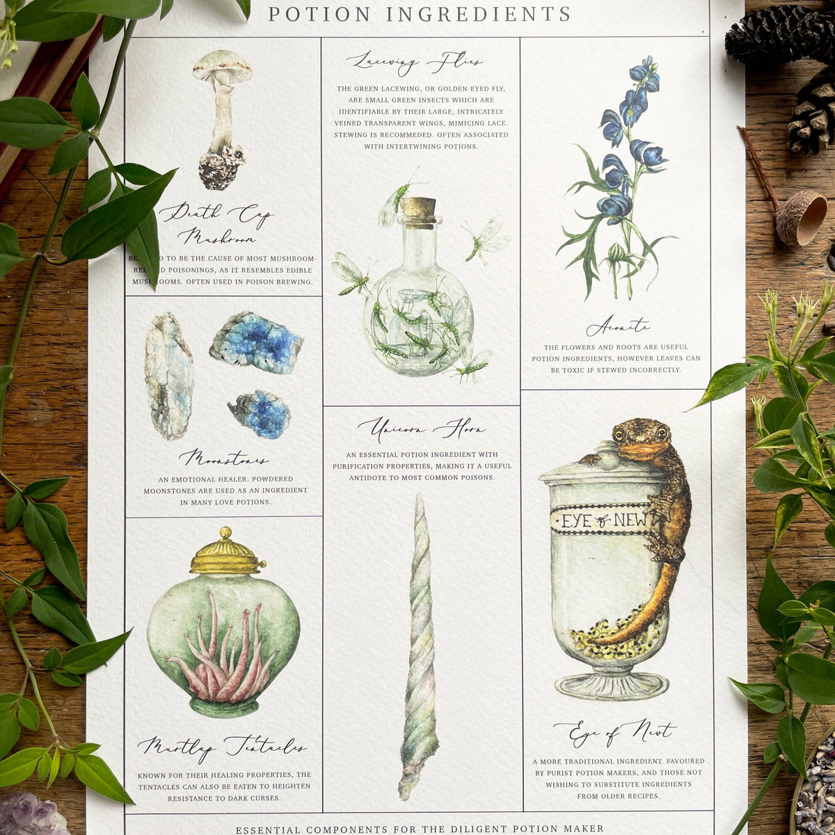 Illustration Ingrédients de Potions magiques – A4 ou A3
