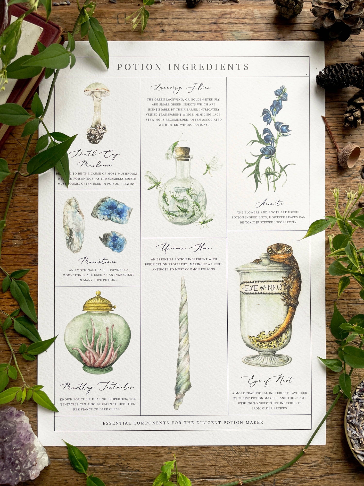 Illustration Ingrédients de Potions magiques – A4 ou A3