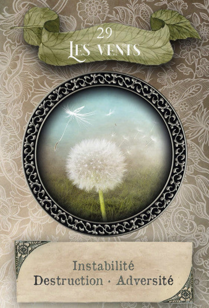 Coffret Tarot magique de la Sorcière Blanche