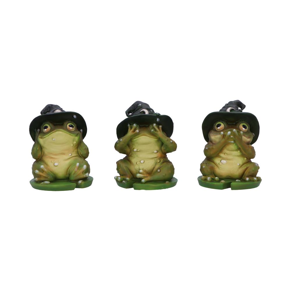 Les 3 Sages Grenouilles Sorcières - Mantra féerique de protection