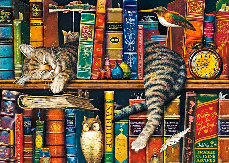 Puzzle Schmidt 1000 pièces – Chat endormi dans la bibliothèque
