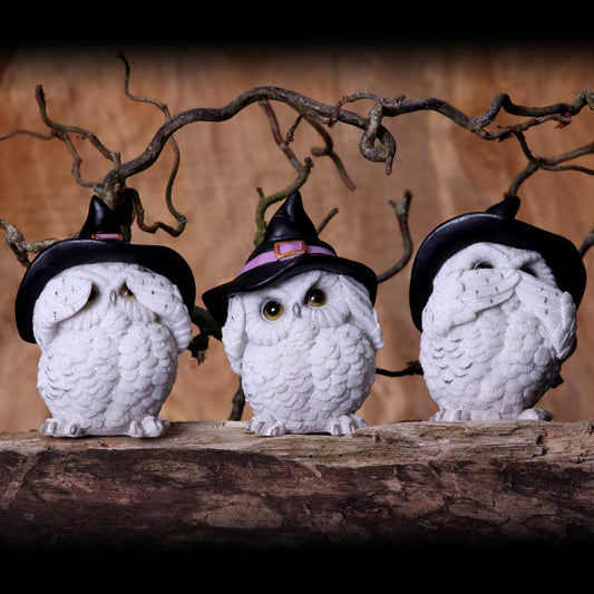 Les 3 Sages Chouettes Sorcières – Mantra protecteur féérique