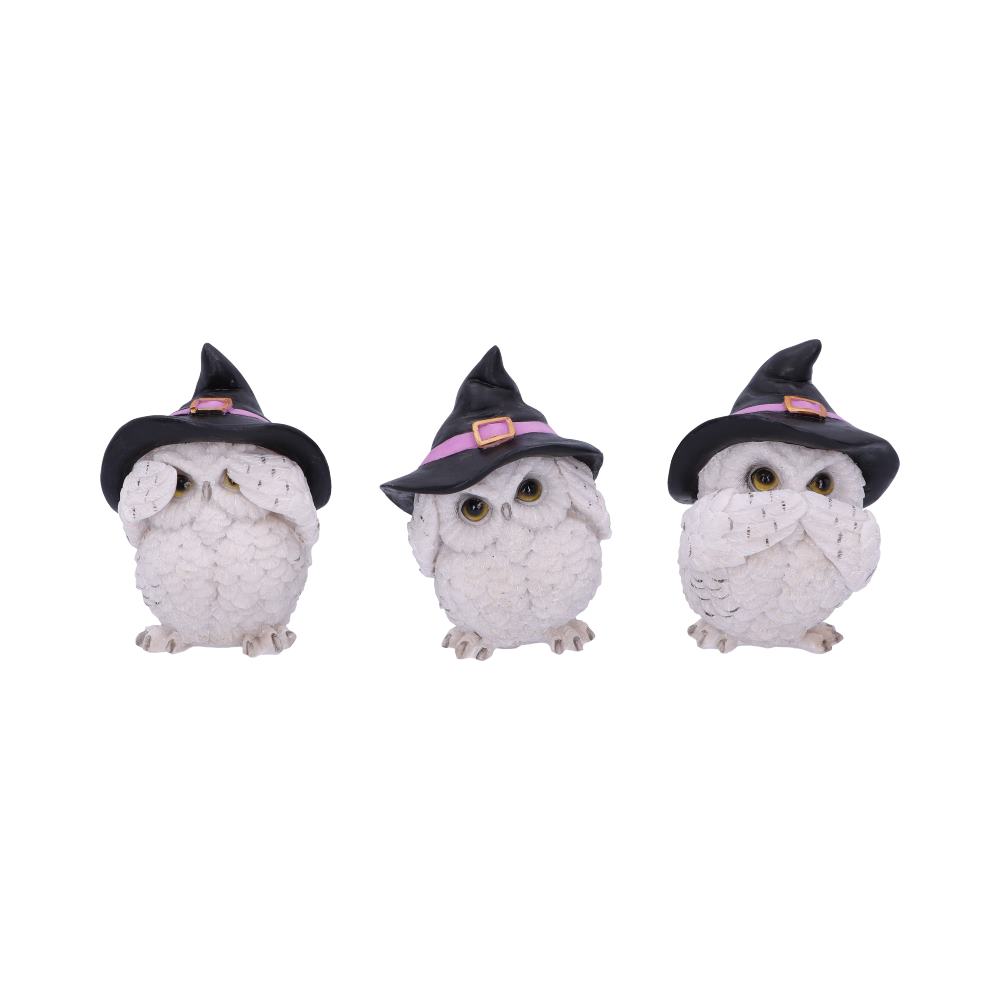Les 3 Sages Chouettes Sorcières – Mantra protecteur féérique