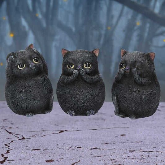 Les 3 Sages Chats Noirs – Mantra félin de protection