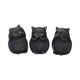 Les 3 Sages Chats Noirs – Mantra félin de protection