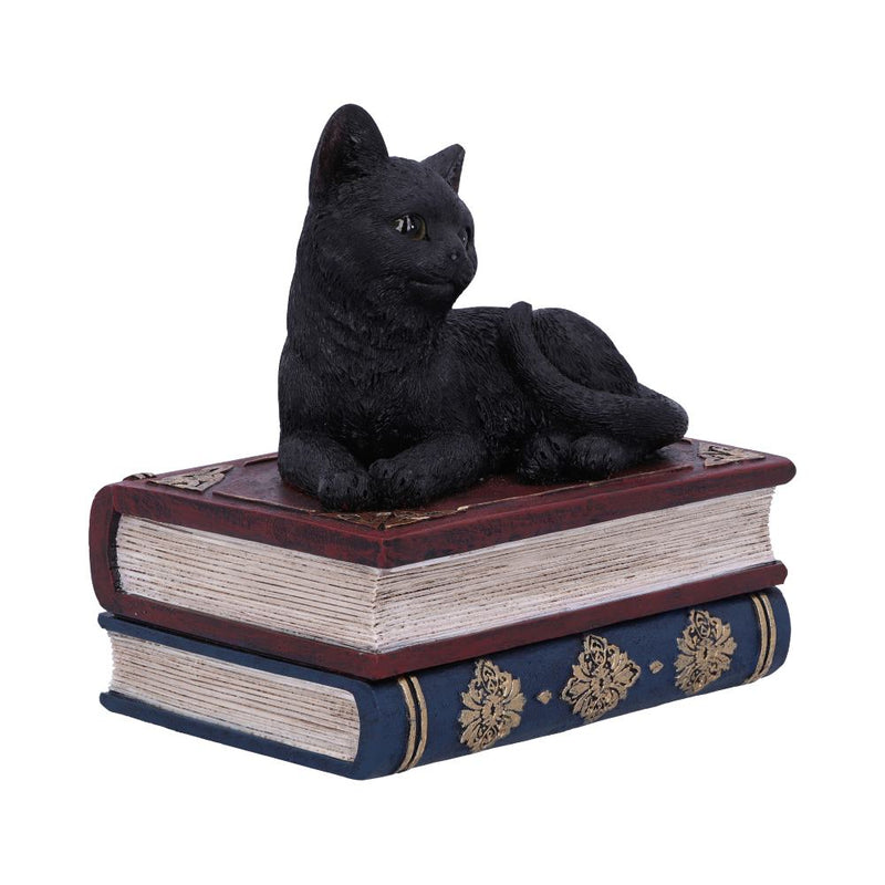Figurine Chat noir sur grimoires avec rangement secret