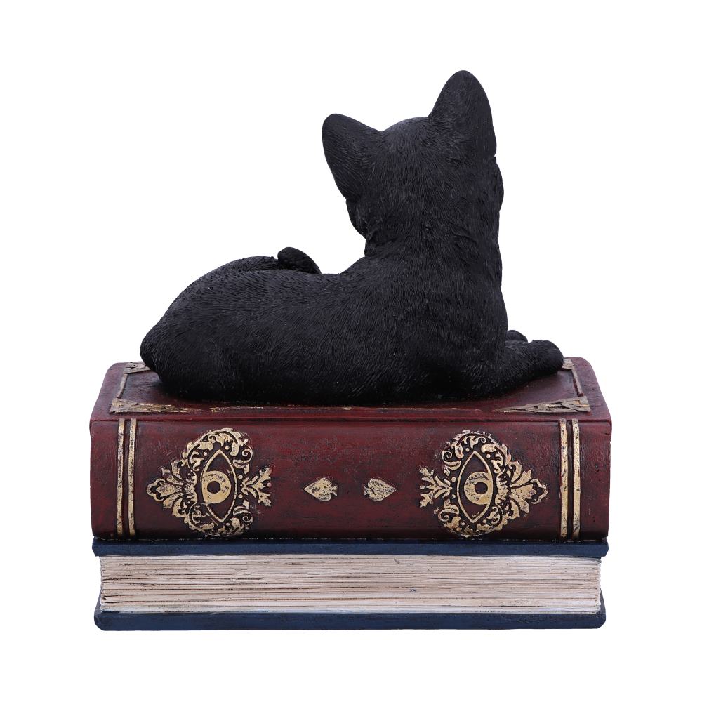 Figurine Chat noir sur grimoires avec rangement secret