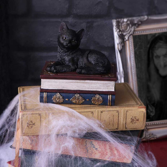 Figurine Chat noir sur grimoires avec rangement secret