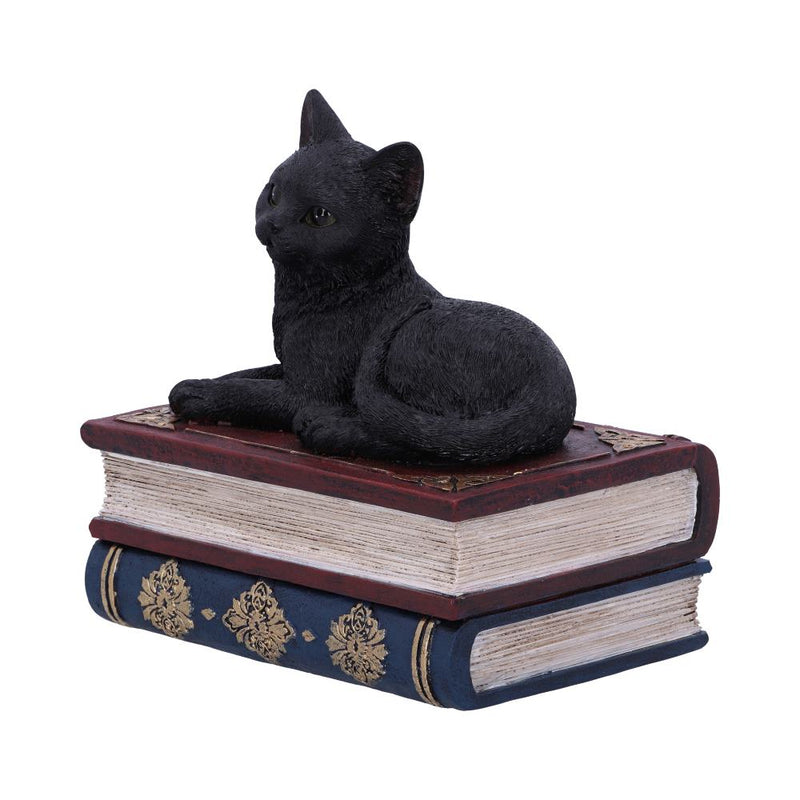 Figurine Chat noir sur grimoires avec rangement secret