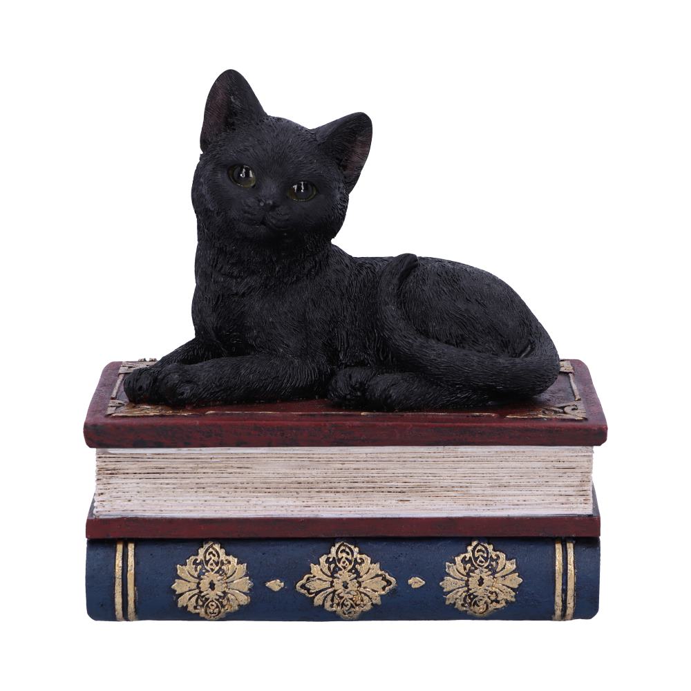 Figurine Chat noir sur grimoires avec rangement secret