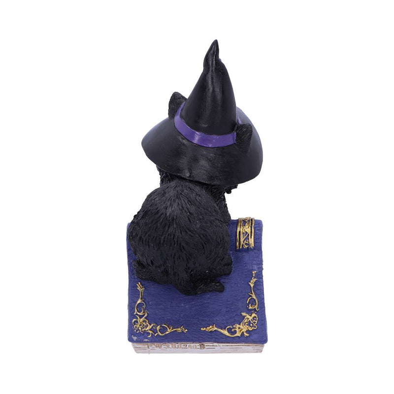 Figurine Chat Noir Hocus avec Chapeau de Sorcière – Grimoire Violet & Araignée Argentée