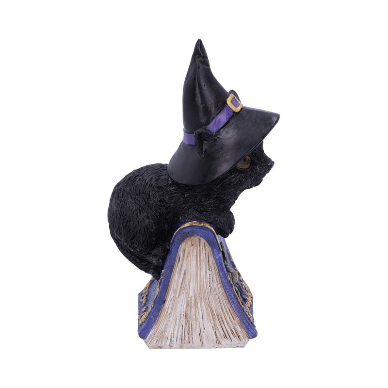 Figurine Chat Noir Hocus avec Chapeau de Sorcière – Grimoire Violet & Araignée Argentée