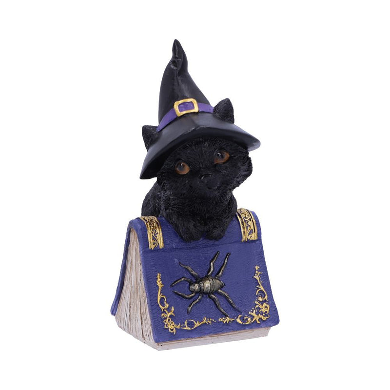Figurine Chat Noir Hocus avec Chapeau de Sorcière – Grimoire Violet & Araignée Argentée