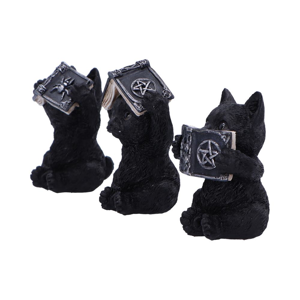 Les 3 Sages Chats Occultes – Grimoires mystiques de protection