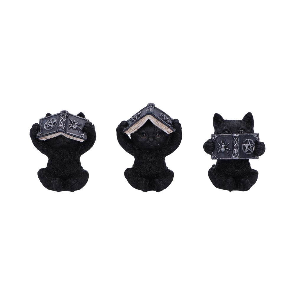 Les 3 Sages Chats Occultes – Grimoires mystiques de protection