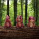 Les 3 Écureuils Sages – Figurines forestières symboliques